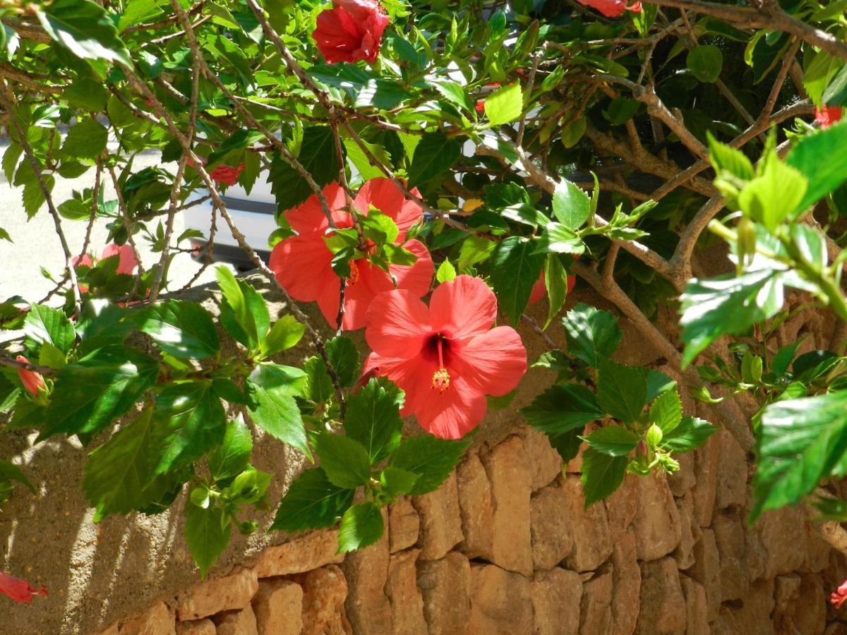 Marina Sol I Pins Appartement Cala Figuera (Mallorca)